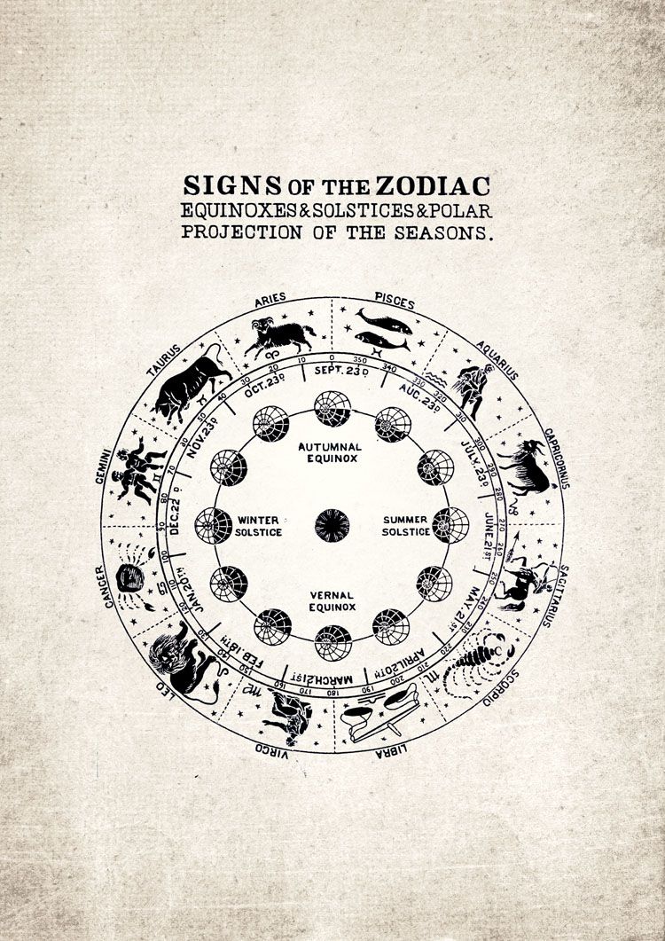 Signs of the Zodiac Star Signs Giclee Print