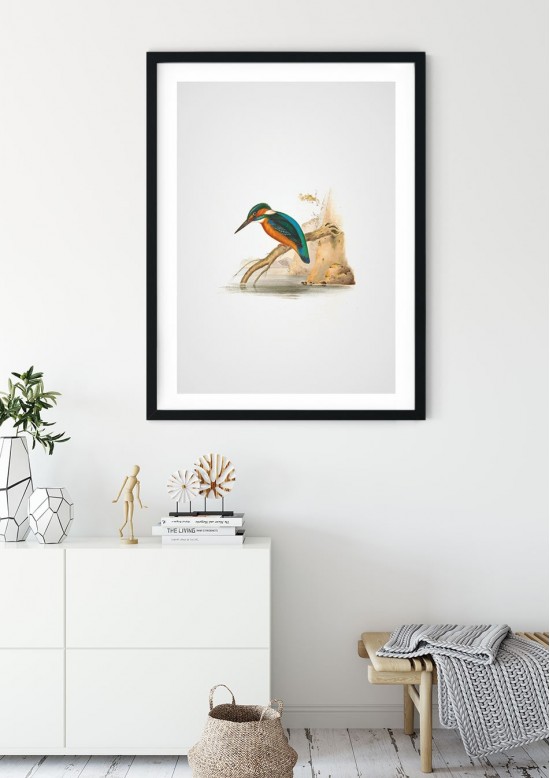 Kingfisher Giclee Print