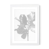 White Smooth Wooden Frame 20mm