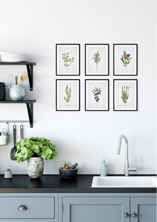 Mint Kitchen Herb Giclee Print
