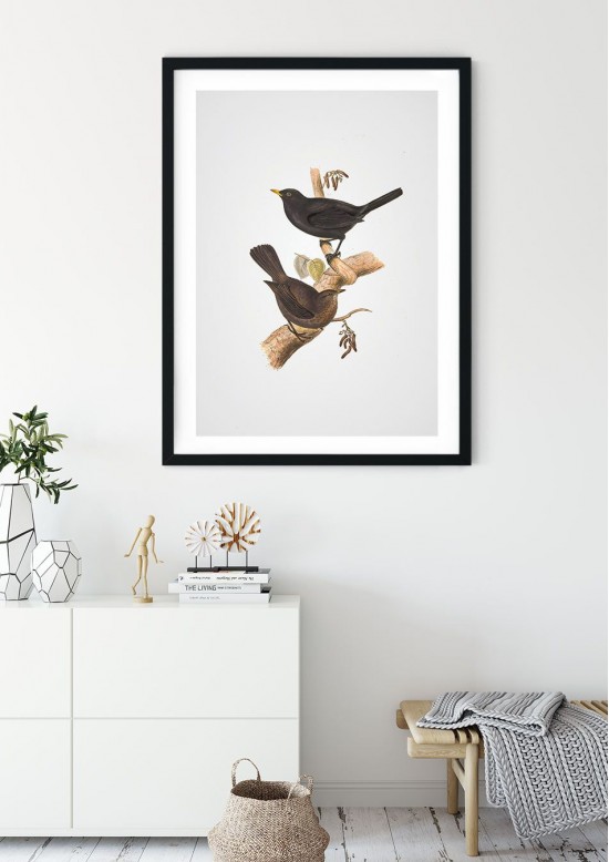 Blackbird Giclee Print