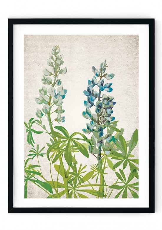 Bluebell Giclee Print
