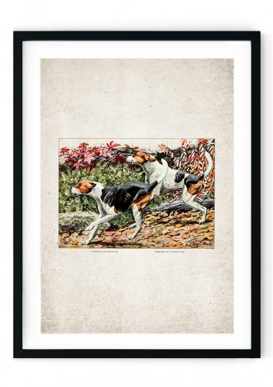 Foxhounds Giclee Print