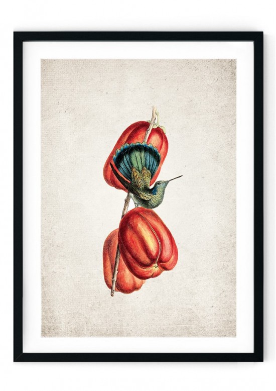 Hummingbird Giclee Print