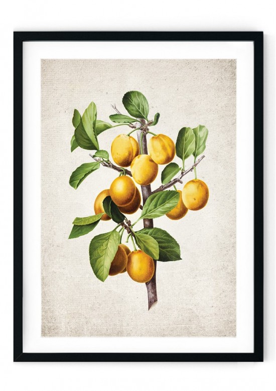 Lemon Giclee Print Lemon Giclee Print
