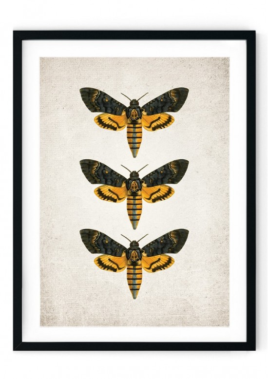 Death's Head Moth Giclee Print