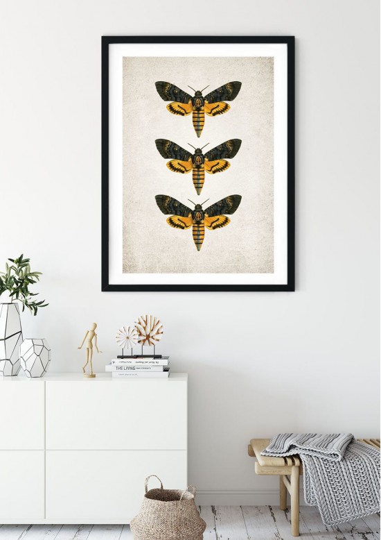 Death's Head Moth Giclee Print