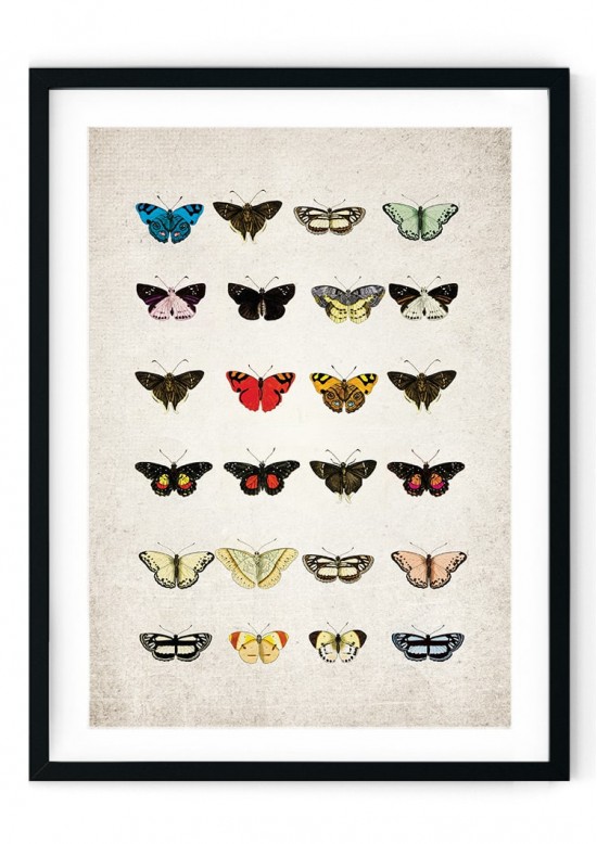 Colourful Butterfly Plate Giclee Print