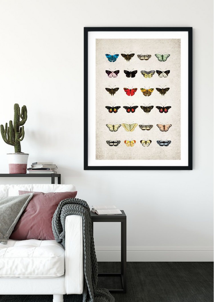 Colourful Butterfly Plate Giclee Print