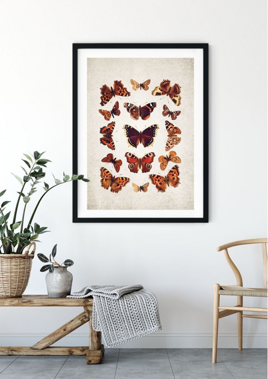 English Butterflies Giclee Print