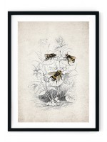 Bumble Bee Scene Giclee Print