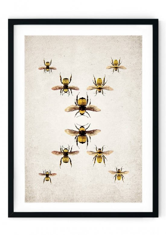 Bumble Bee Giclee Print