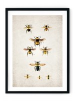 Bumble Bee #2 Giclee Print