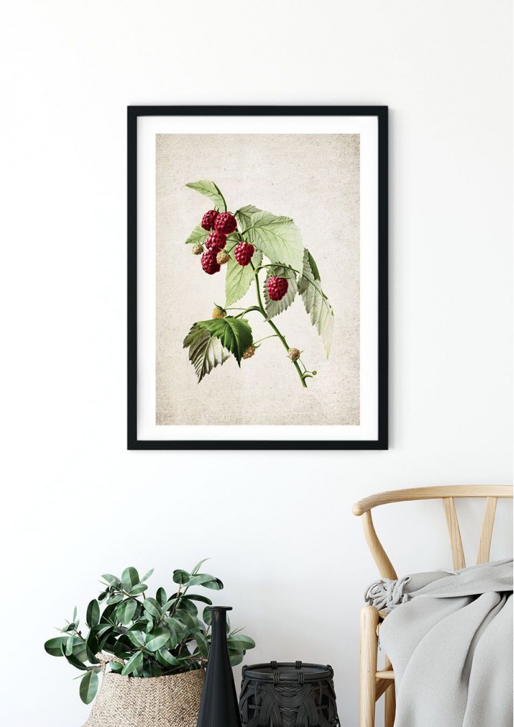 Raspberries Giclee Print