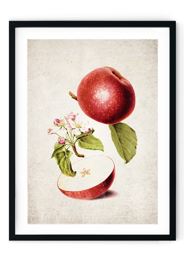 Apple Giclee Print