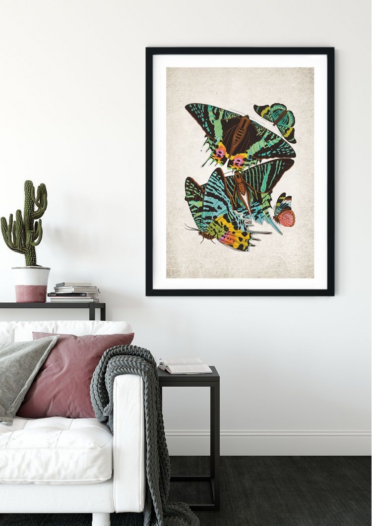 Sunset Moth Giclee Print