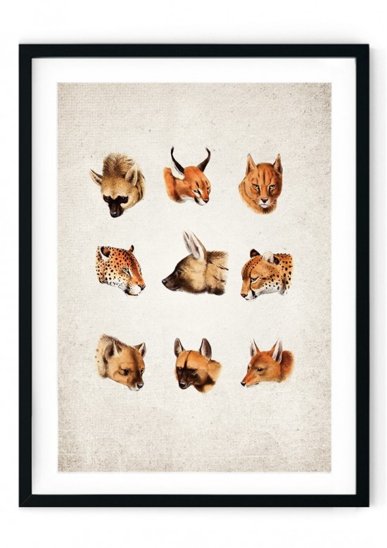 South African Cats Giclee Print South African Cats Giclee Print