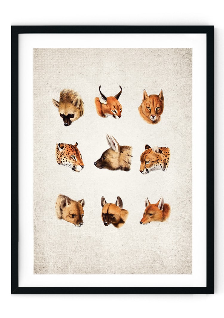 South African Cats Giclee Print