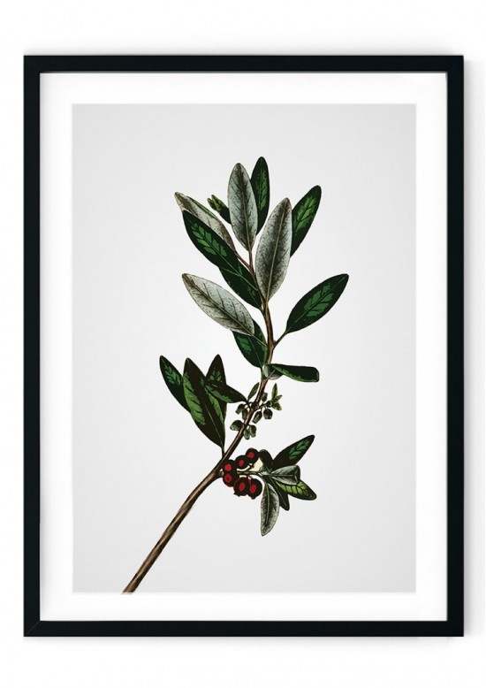 Abstract Plant Giclee Print