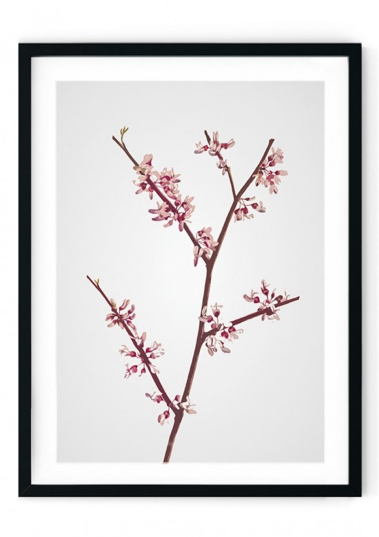 Pink Blossom Giclee Print