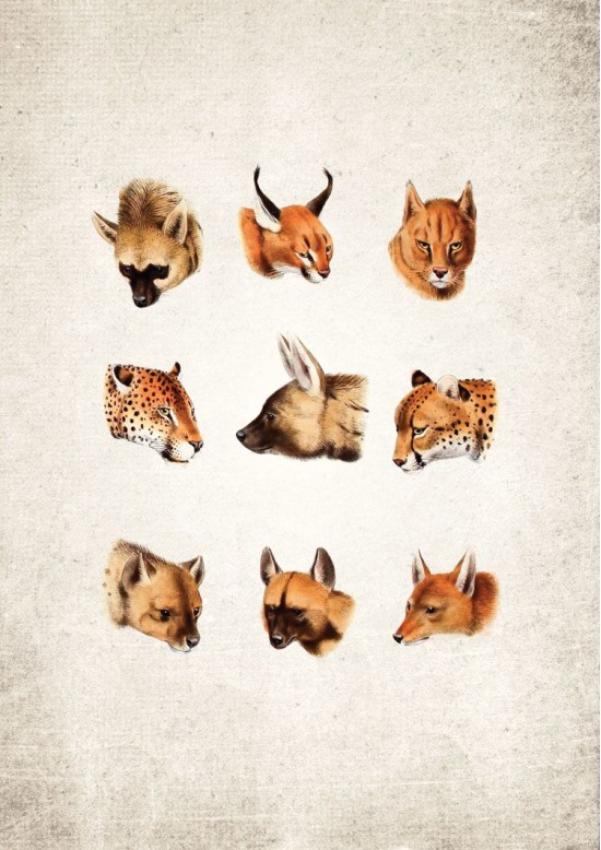 South African Cats Giclee Print South African Cats Giclee Print