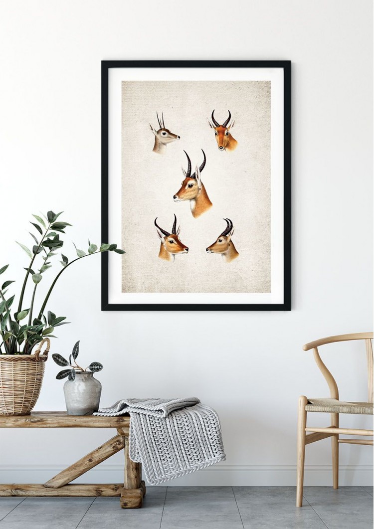 South African Game Giclee Print South African Game Giclee Print