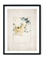 Icelandic Mountain Dog Giclee Print
