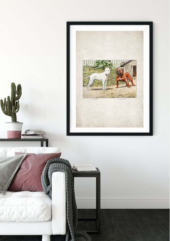 Bull Terrier Giclee Print