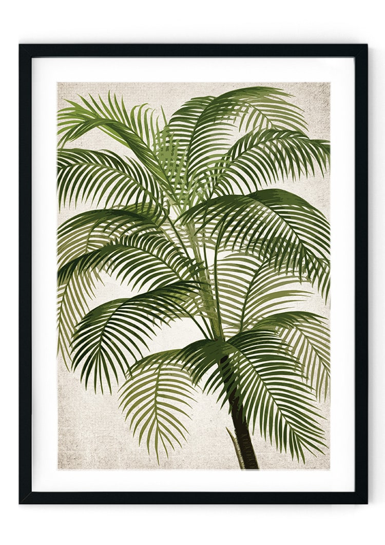 Abstract Plant Giclee Print