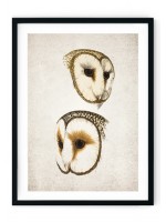 Owl Giclee Print