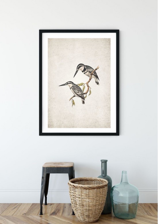 Kingfisher Giclee Print