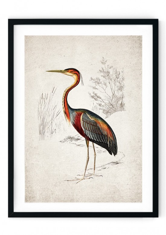 Heron Giclee Print
