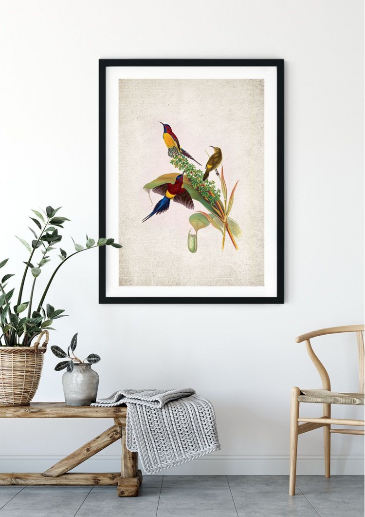 Birds of Asia Giclee Print