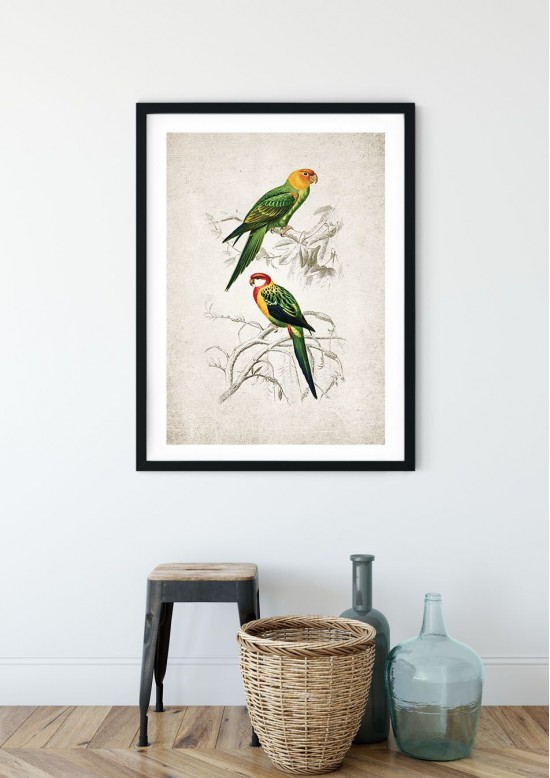 Birds of Paradise Giclee Print