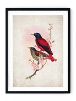 Ardens Bird Giclee Print