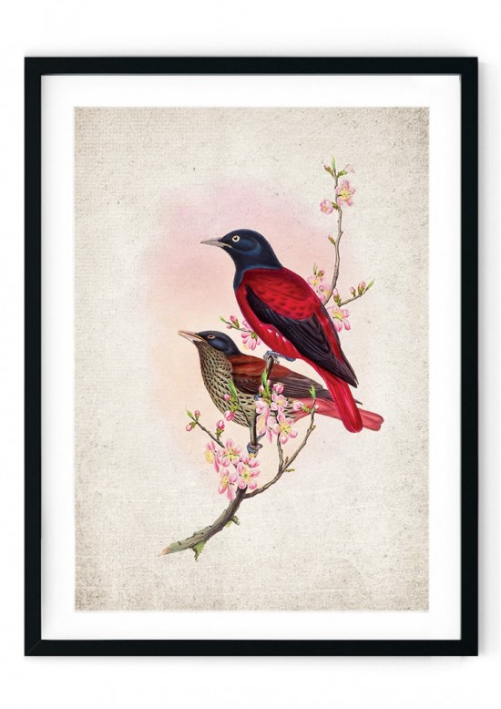 Ardens Bird Giclee Print
