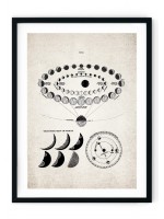 Venus Orbit Giclee Print