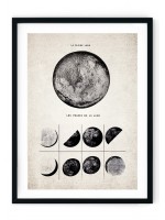 Moon Phases, Full Moon Giclee Print