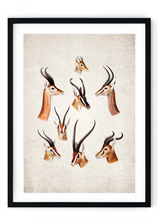 South African Game Giclee Print South African Game Giclee Print