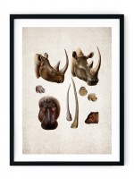 Rhino Giclee Print