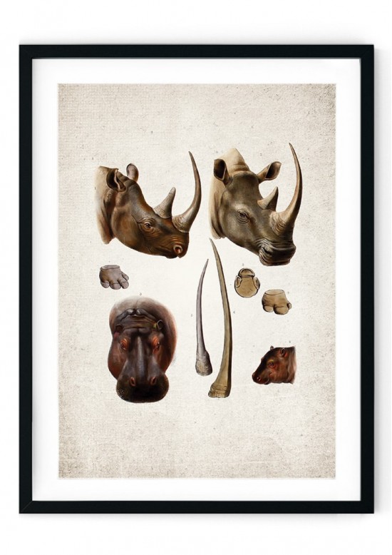 Rhino Giclee Print