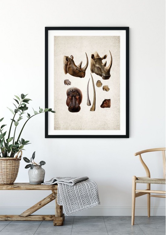 Rhino Giclee Print