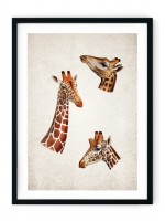 Giraffe Giclee Print