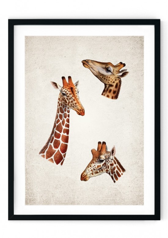 Giraffe Giclee Print