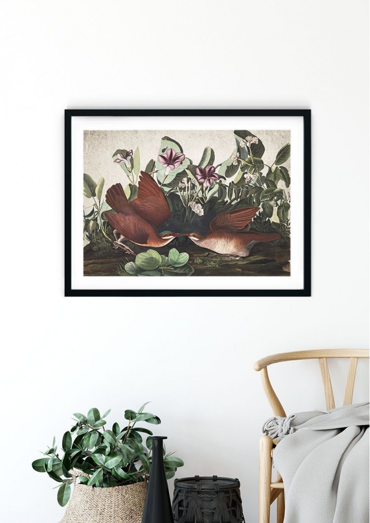 Doves Giclee Print Doves Giclee Print