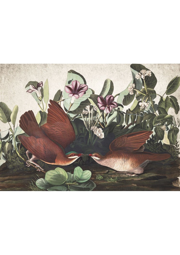 Doves Giclee Print Doves Giclee Print