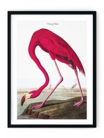 Pink Flamingo Giclee Print