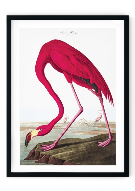 Pink Flamingo Giclee Print