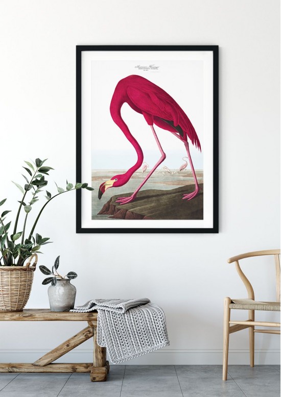 Pink Flamingo Giclee Print