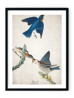 Bluebird Giclee Print